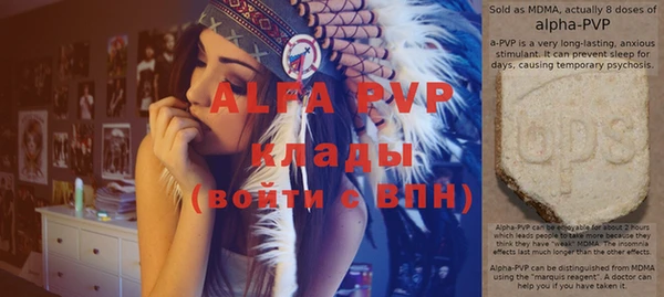 мдпв Новозыбков
