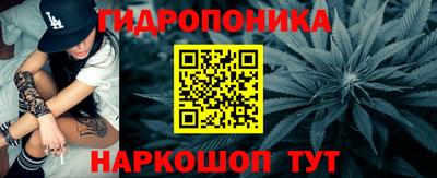 стаф Гусев