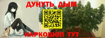 гидра Гусиноозёрск
