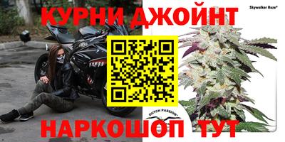 стаф Гусев