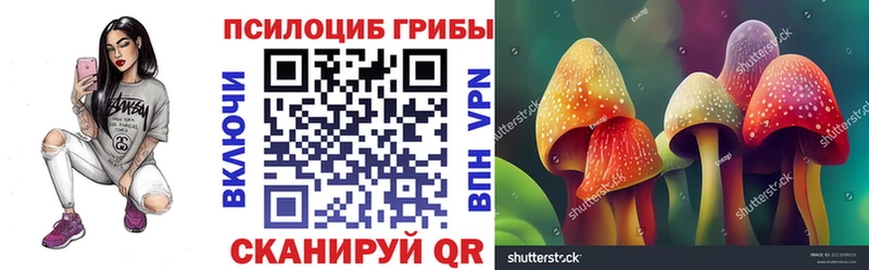 Псилоцибиновые грибы Psilocybine cubensis  наркотики  Кохма 
