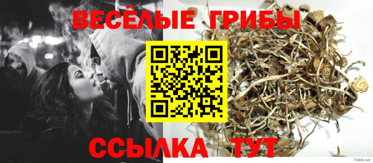 продажа наркотиков  Вход с VPN  Псилоцибиновые грибы мухоморы  Кохма  Псилоцибиновые грибы ЛСД 