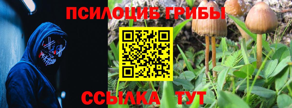 Псилоцибиновые грибы MAGIC MUSHROOMS Кохма